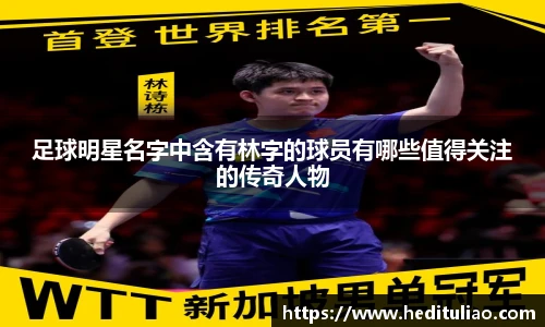 足球明星名字中含有林字的球员有哪些值得关注的传奇人物